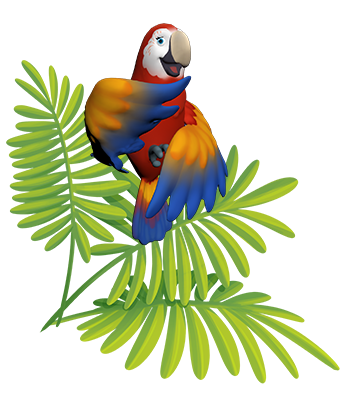 Animals on our Gallery page